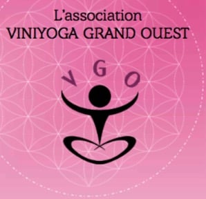Vgo Logo
