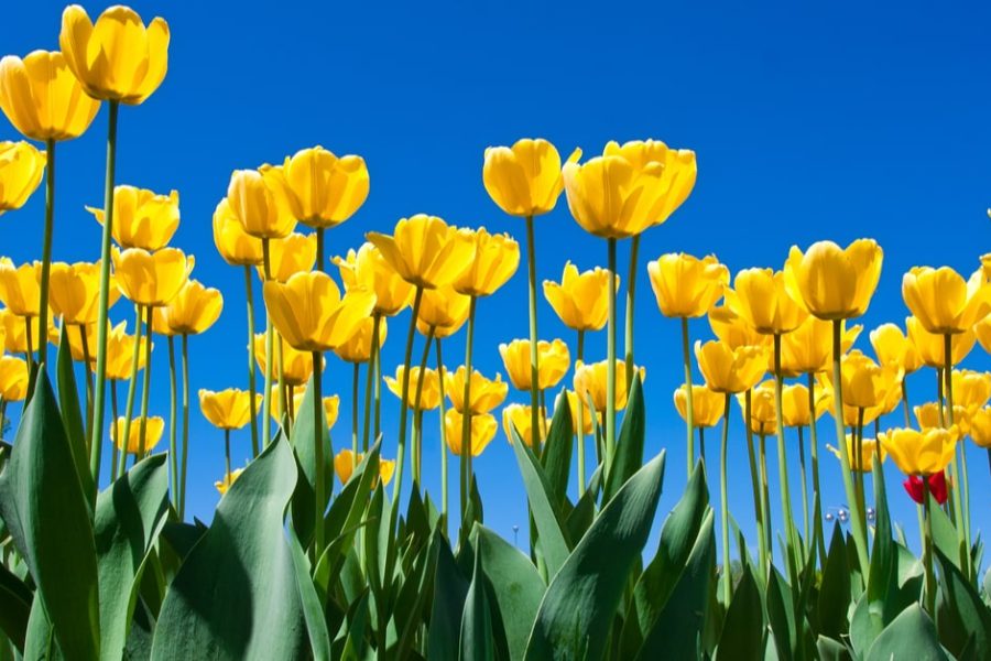 shutterstock 165067694 min