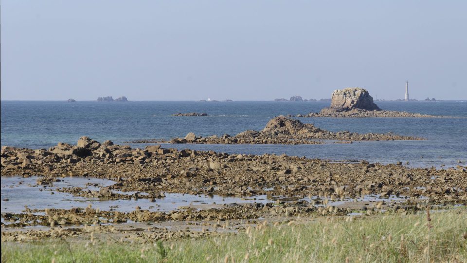 bretagne juin 2024 19