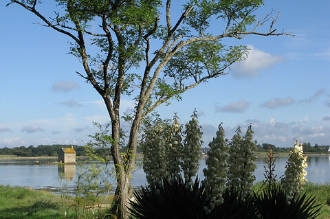 vue riviere d'Etel depuis Chyrsalide (presqu'île de Fandouillec) 480x319