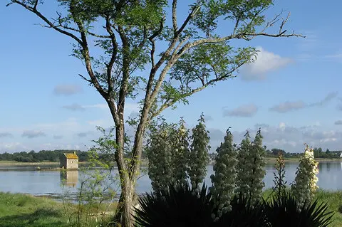 vue riviere d'Etel depuis Chyrsalide (presqu'île de Fandouillec) 480x319